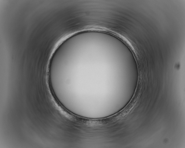 X0000096131379200801180819