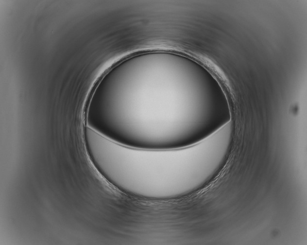 X0000096131380200801180819