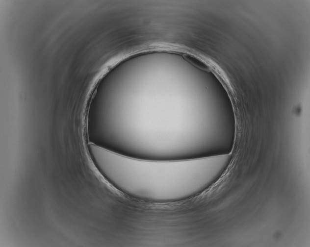 X0000096131381200801180819