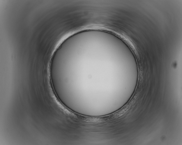 X0000096131382200801180819