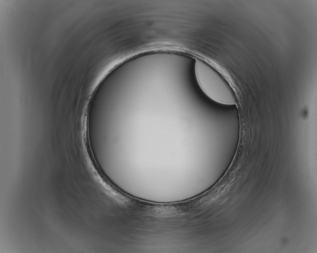 X0000096131383200801180819
