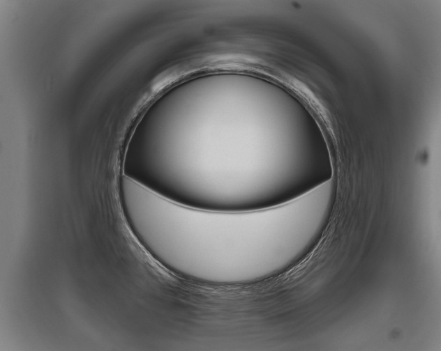 X0000096131384200801180819