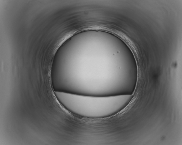 X0000096131385200801180819