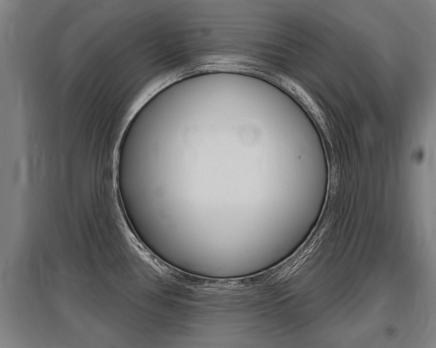 X0000096131386200801180819