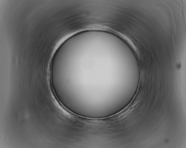 X0000096131387200801180819