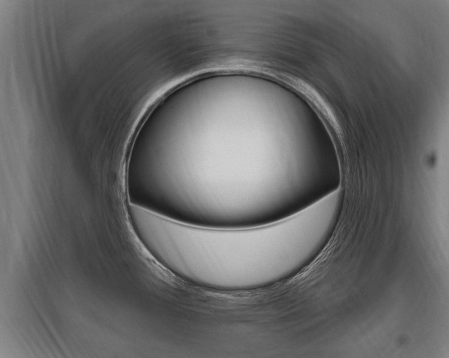 X0000096131388200801180819