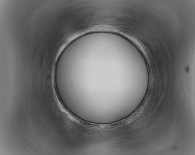 X0000096131390200801180819
