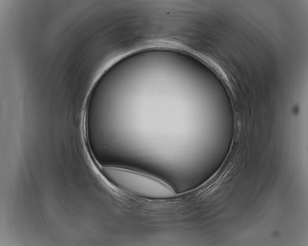 X0000096131391200801180819