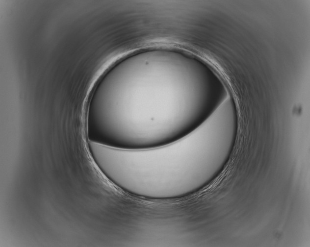 X0000096131392200801180819