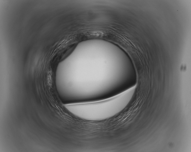 X0000096131394200801180818