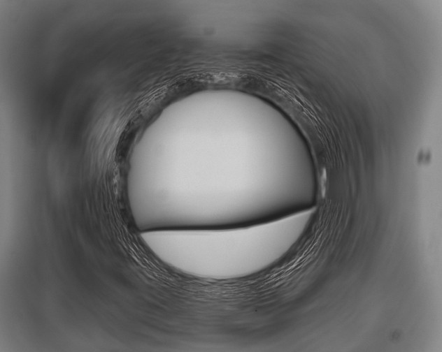 X0000096131395200801180818