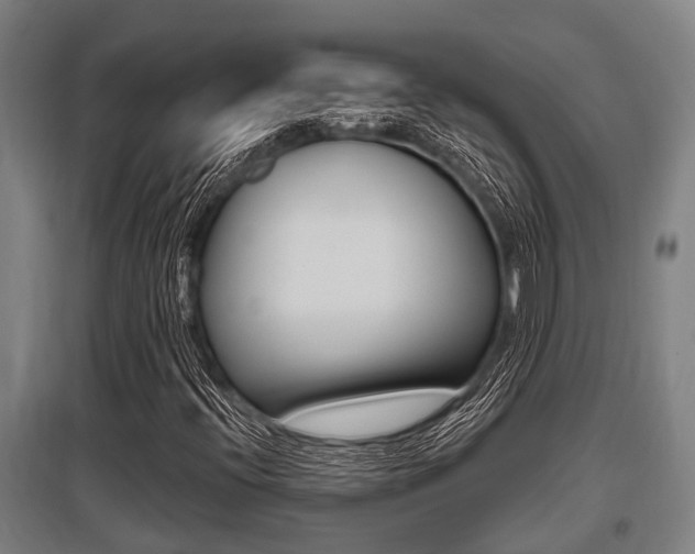 X0000096131396200801180818