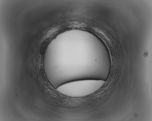 X0000096131399200801180819