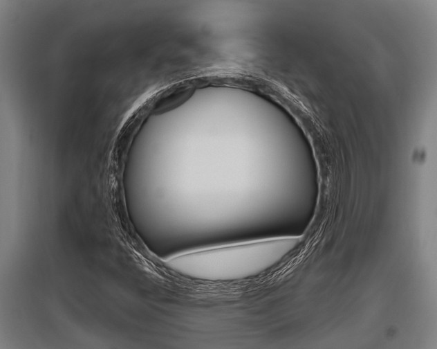 X0000096131400200801180819
