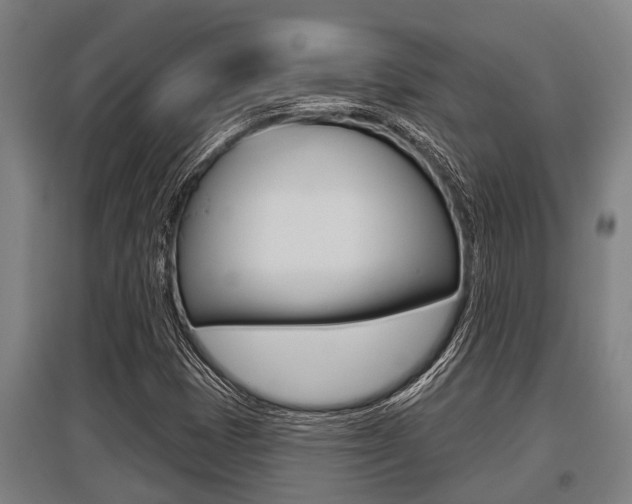 X0000096131401200801180819