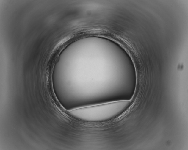 X0000096131402200801180819