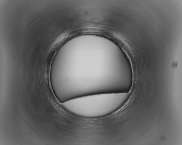 X0000096131403200801180819