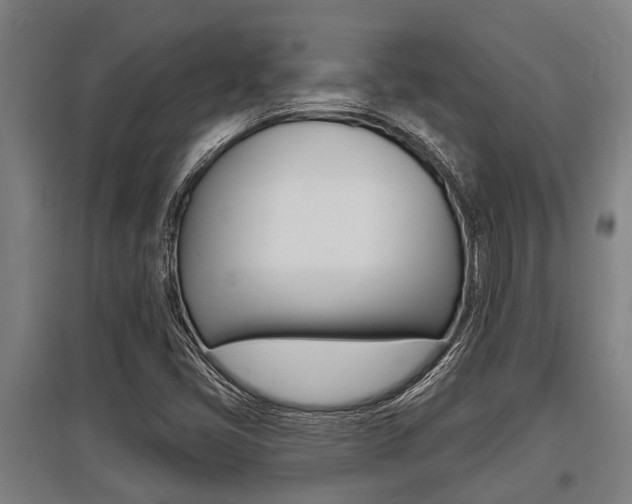 X0000096131405200801180819