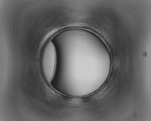 X0000096131406200801180819