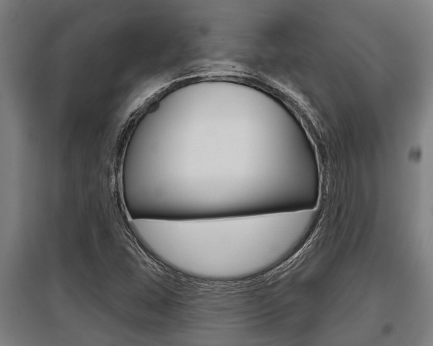 X0000096131407200801180819
