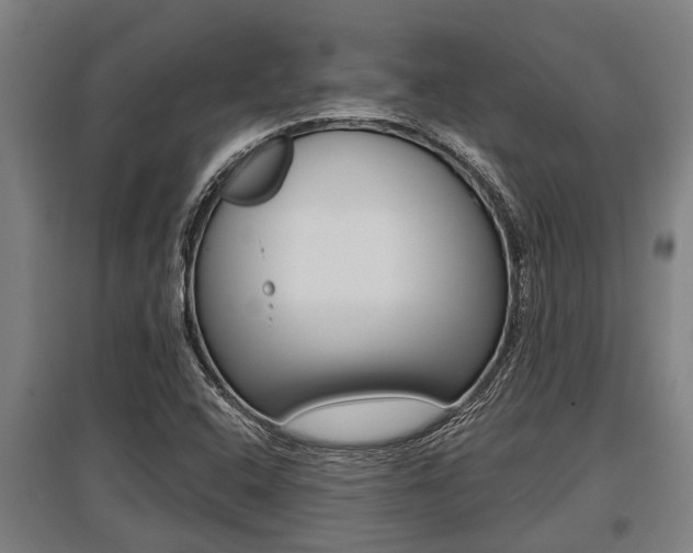 X0000096131408200801180819