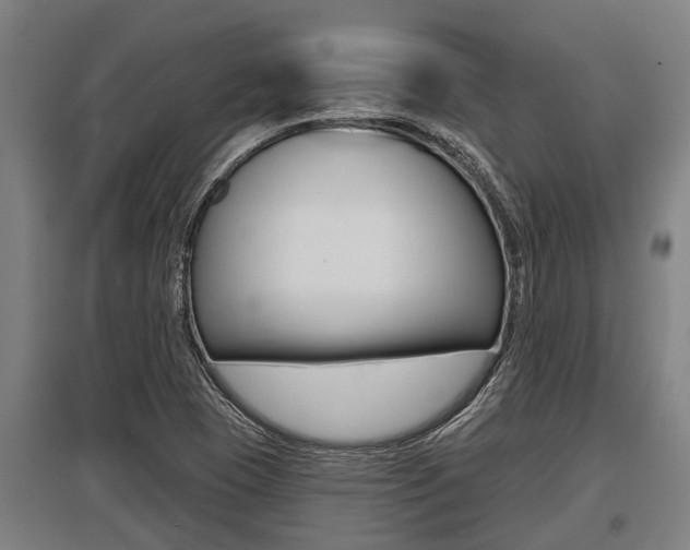 X0000096131409200801180819