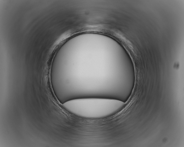 X0000096131411200801180819