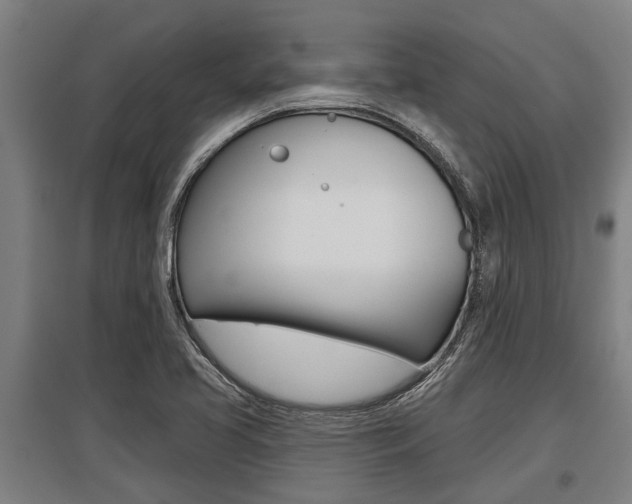 X0000096131413200801180819