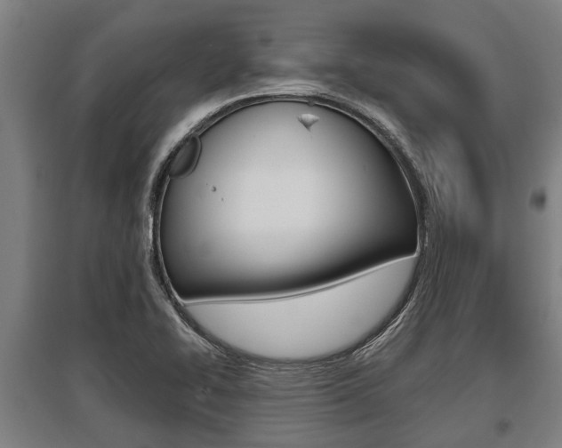 X0000096131414200801180819