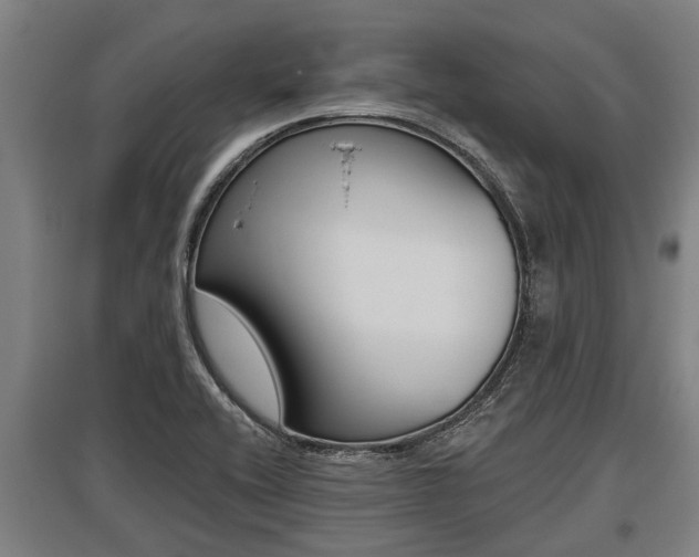 X0000096131416200801180819