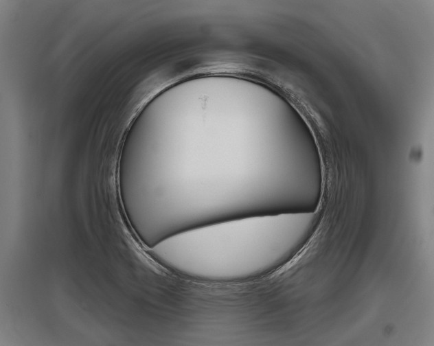 X0000096131417200801180819
