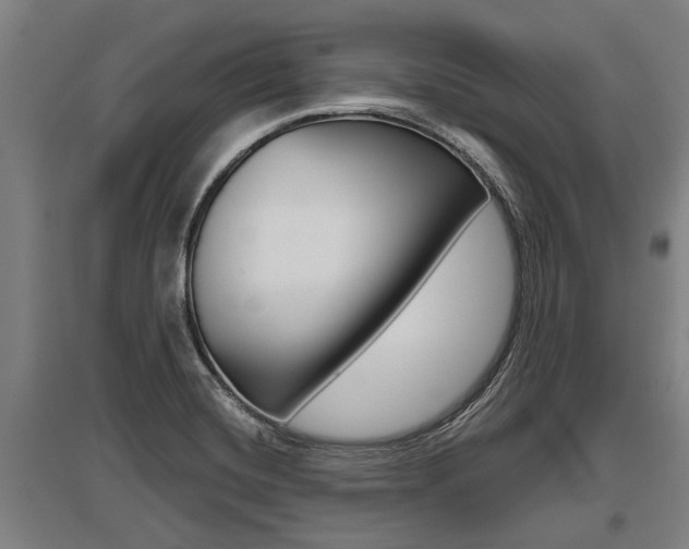 X0000096131420200801180819