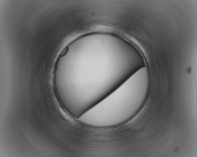 X0000096131421200801180819