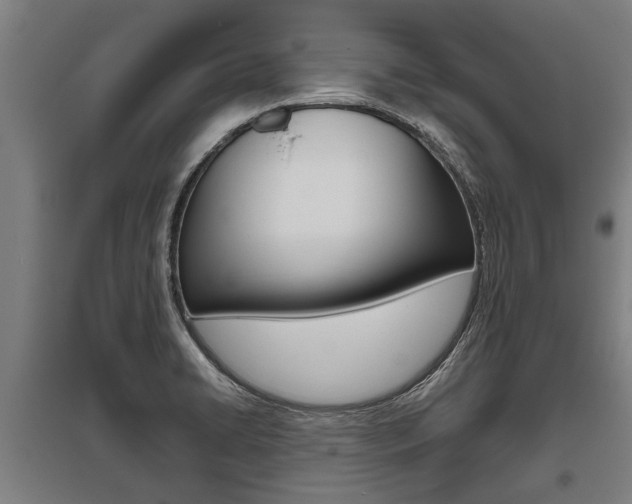 X0000096131422200801180819