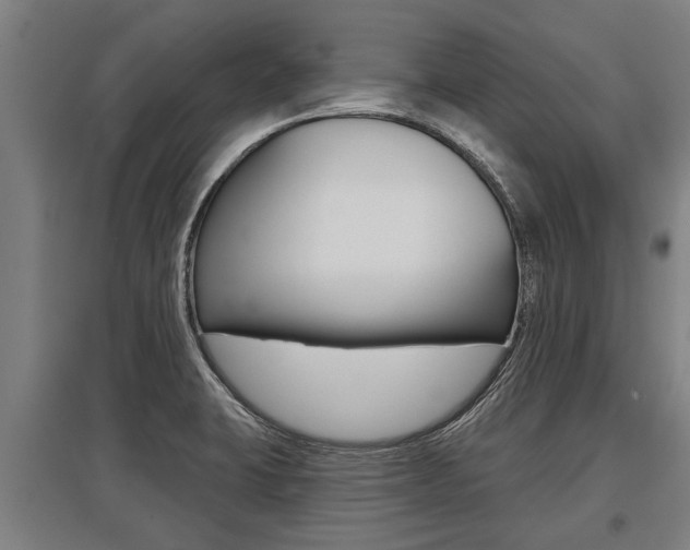 X0000096131423200801180819