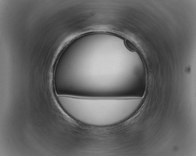 X0000096131424200801180819