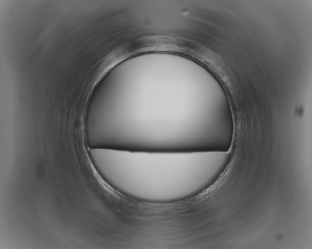 X0000096131425200801180819