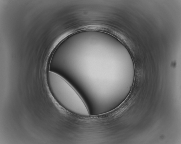 X0000096131426200801180819