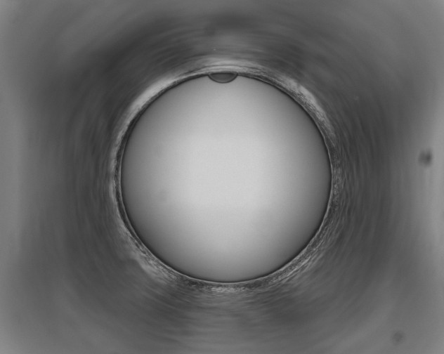 X0000096131427200801180819