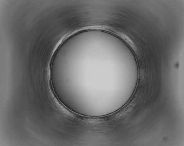 X0000096131428200801180819