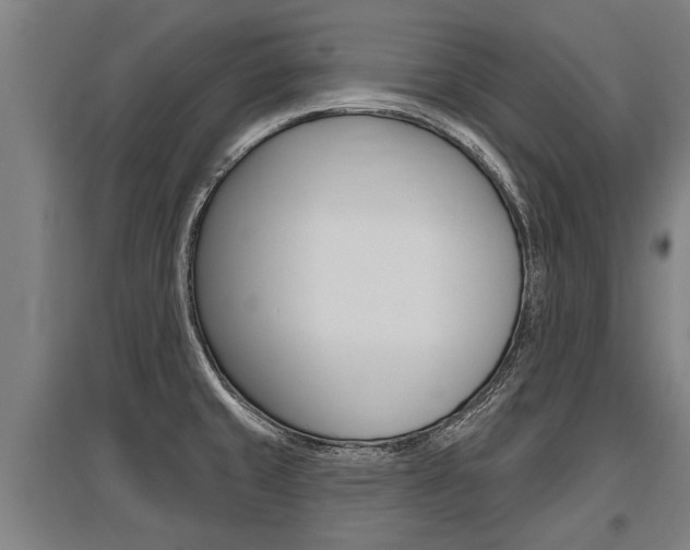 X0000096131429200801180819