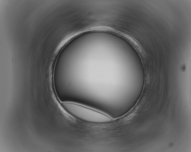 X0000096131430200801180819