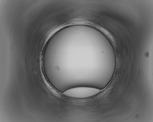 X0000096131431200801180819