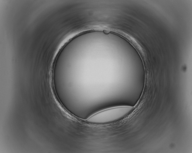 X0000096131432200801180819