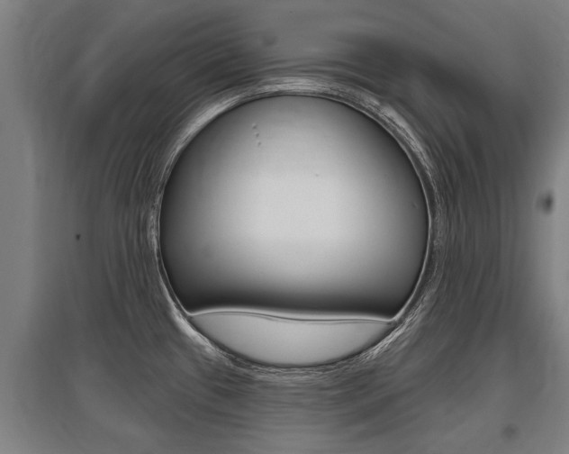 X0000096131433200801180819