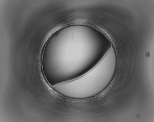 X0000096131434200801180819