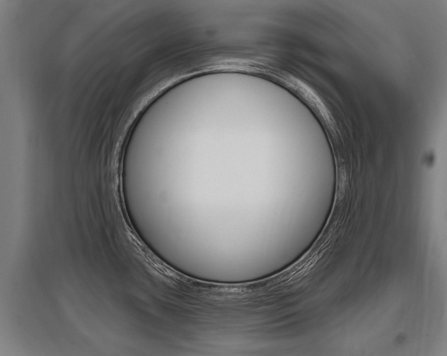 X0000096131435200801180819