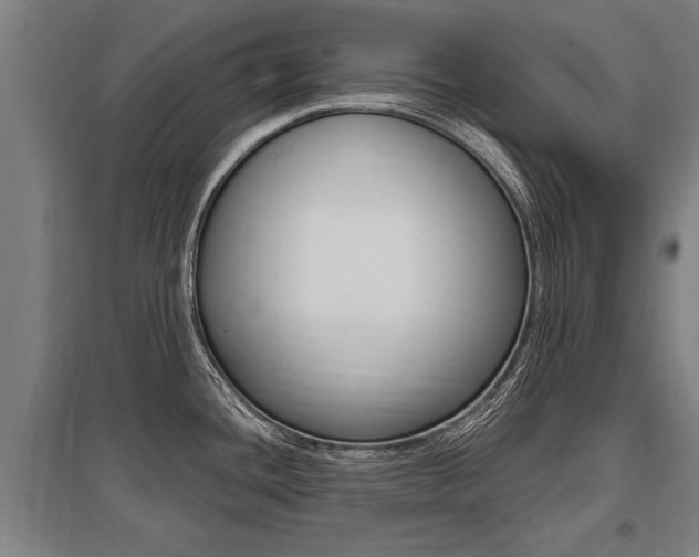 X0000096131436200801180819