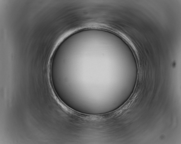 X0000096131437200801180819