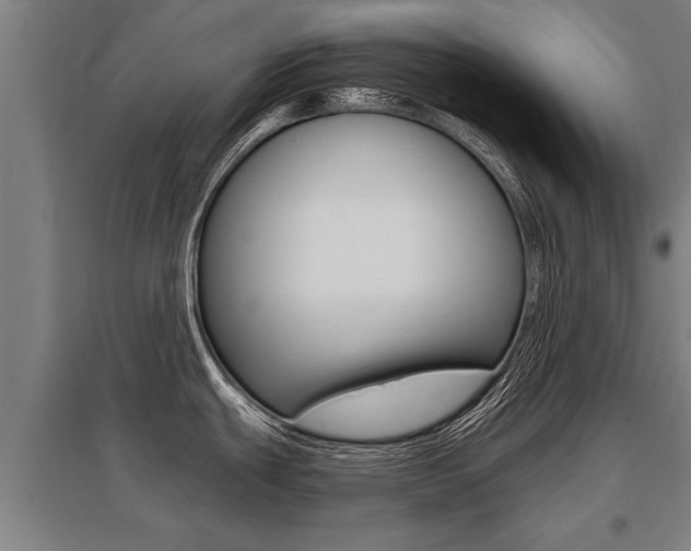X0000096131439200801180819